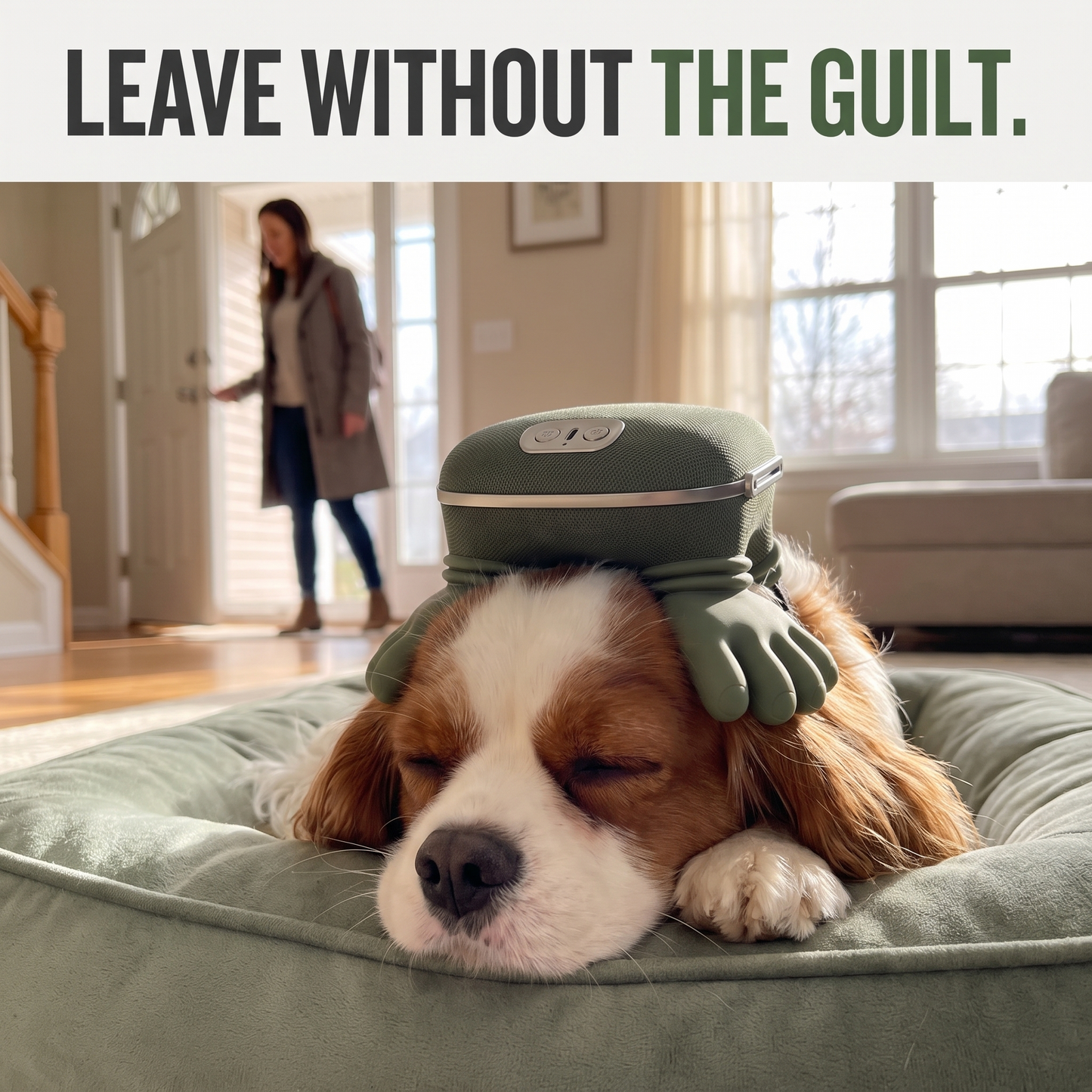Dog Massager