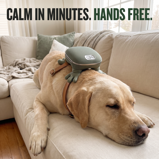 Dog Massager