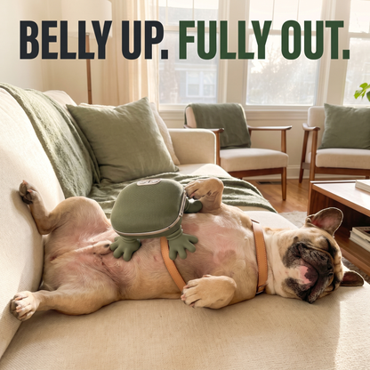 Dog Massager
