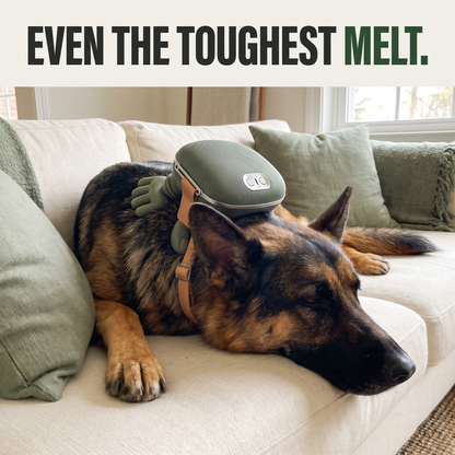 Dog Massager